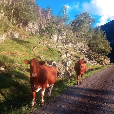 Hytte Hjelledalen Hyttesenter *