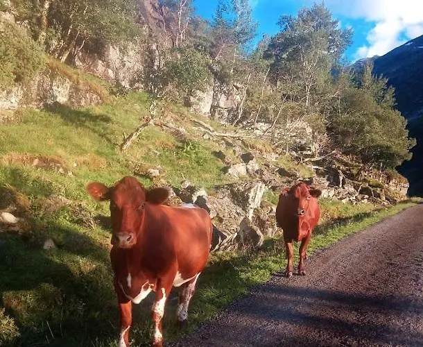 Domek letniskowy Hjelledalen Hyttesenter *